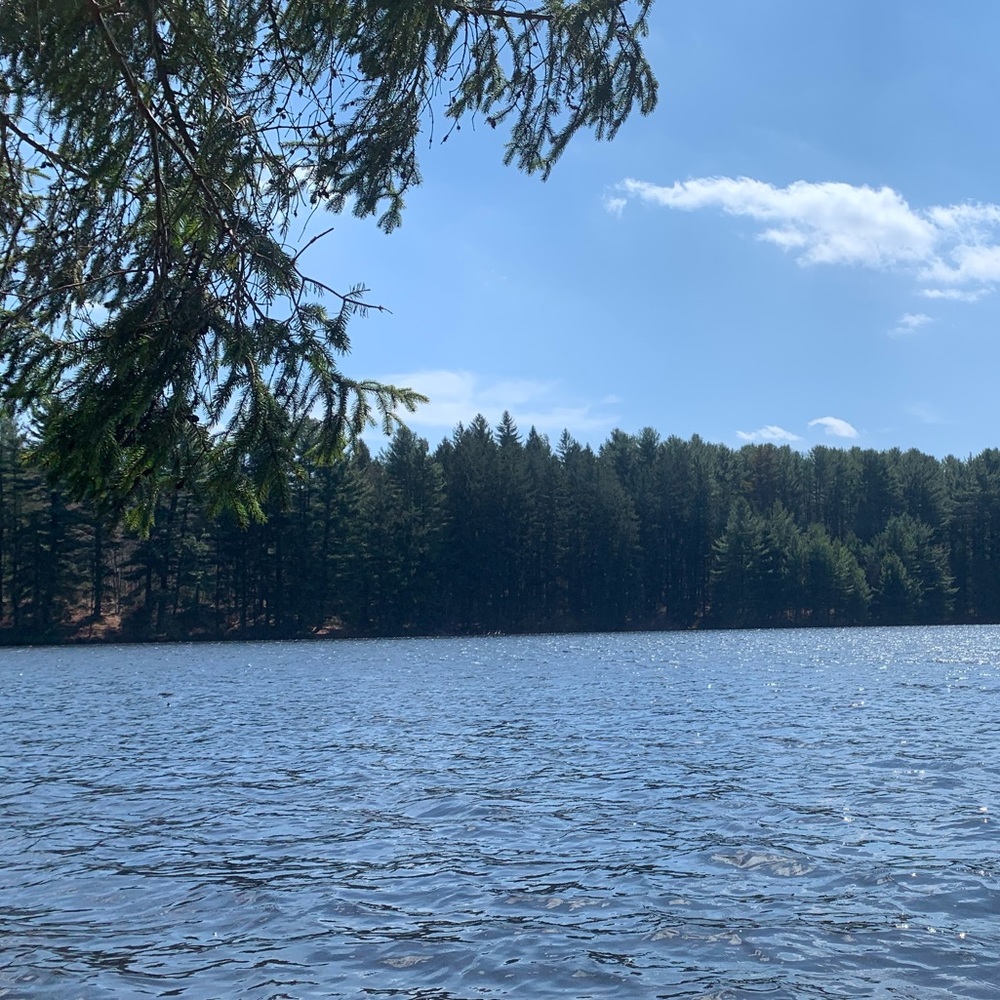 Meet your Posher, Mitra